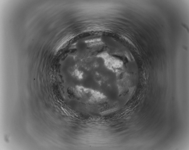 X0000100400775200806201735