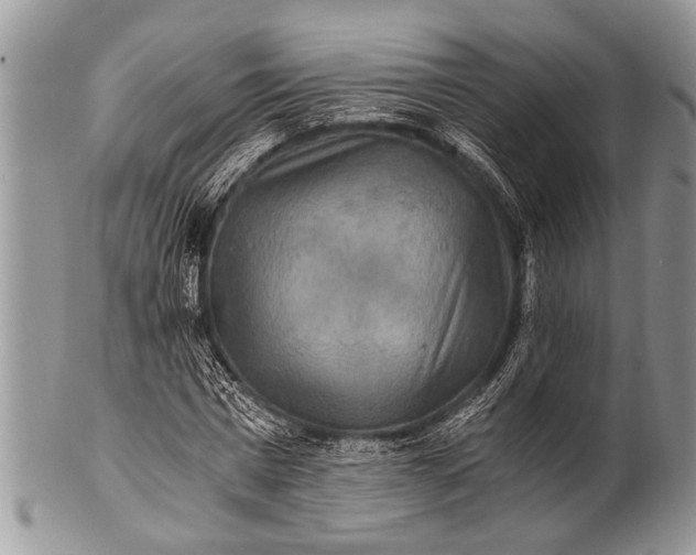 X0000100400777200806201735