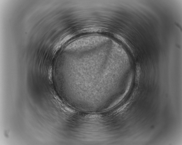X0000100400778200806201735