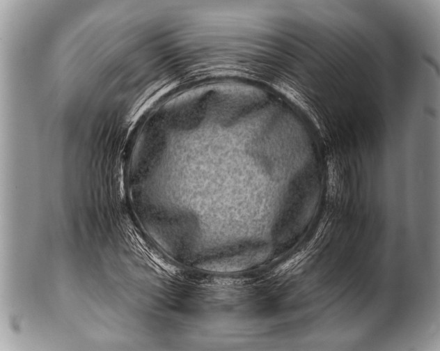 X0000100400782200806201735