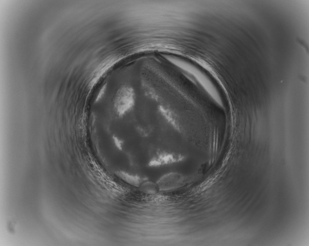 X0000100400783200806201735