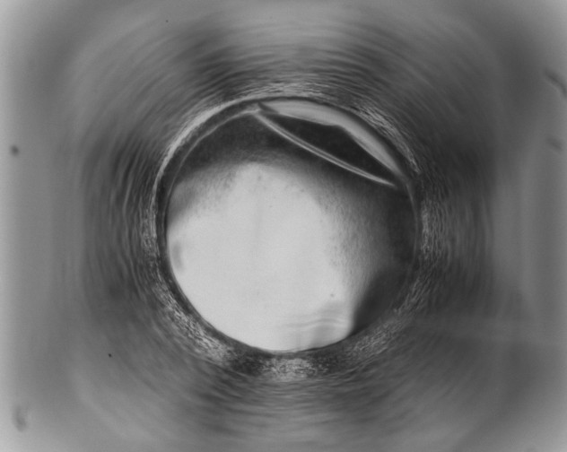 X0000100400784200806201735