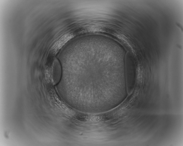 X0000100400785200806201735