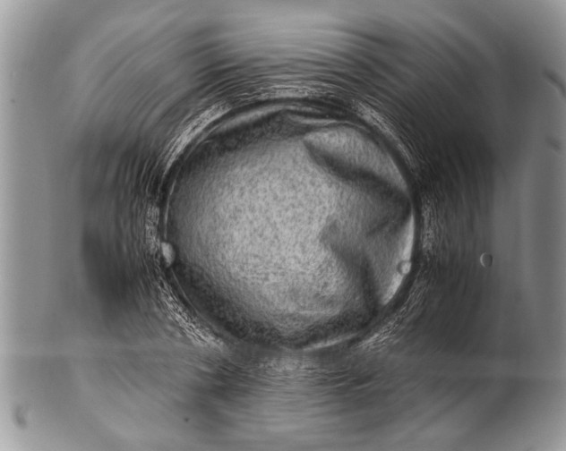 X0000100400786200806201735