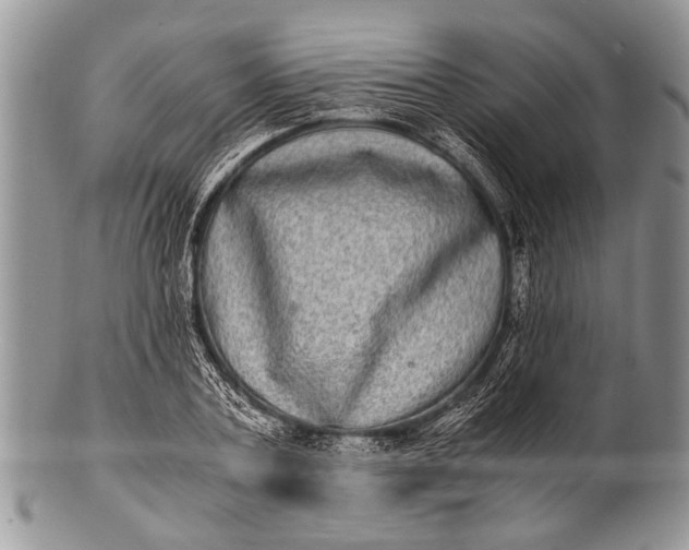 X0000100400787200806201735