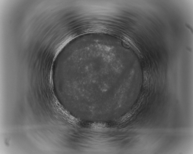 X0000100400788200806201735