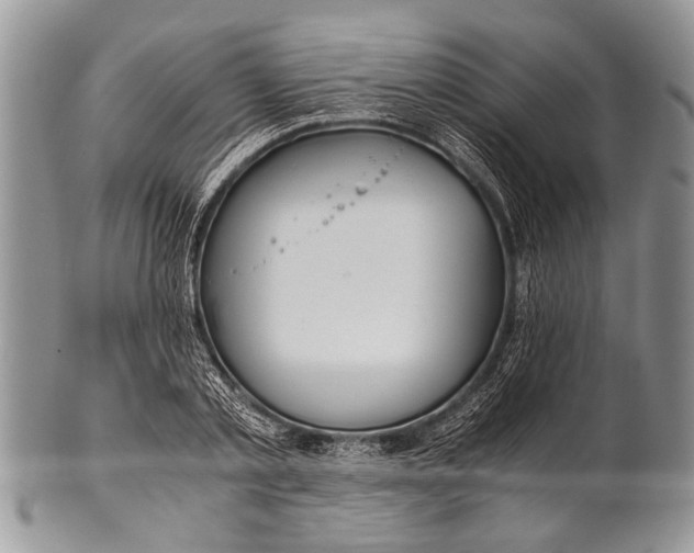 X0000100400789200806201735