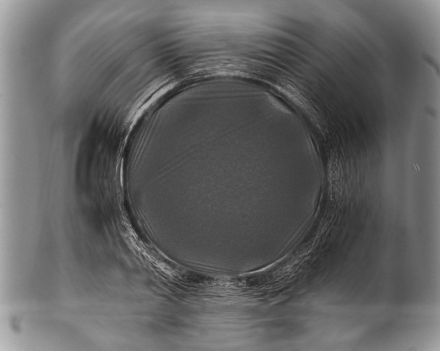 X0000100400790200806201735