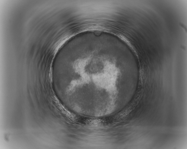 X0000100400791200806201735