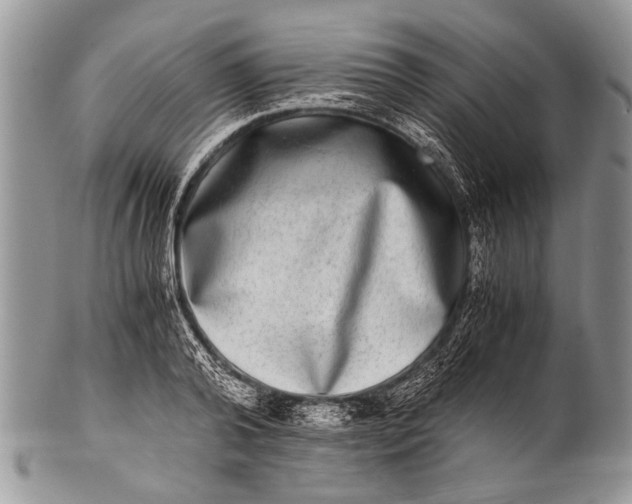 X0000100400792200806201735