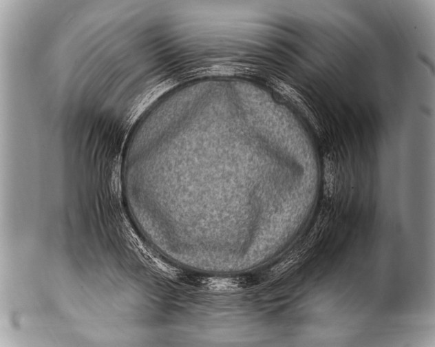 X0000100400794200806201735
