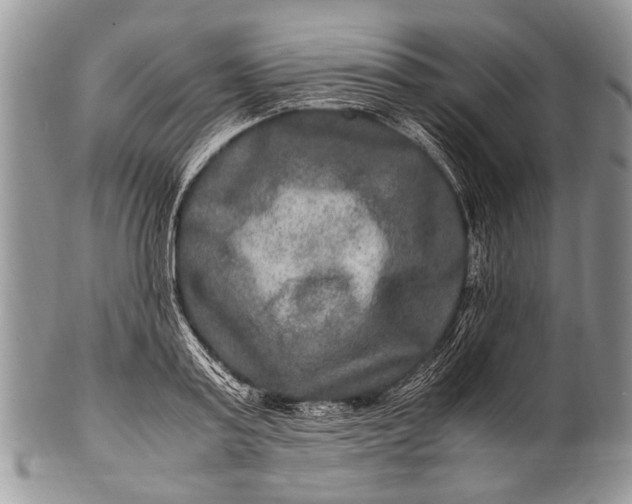 X0000100400795200806201735