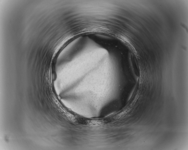 X0000100400796200806201735