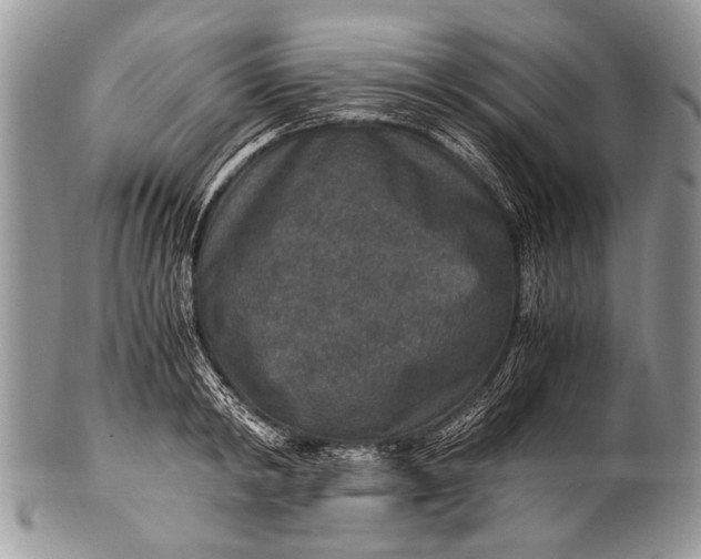 X0000100400798200806201735