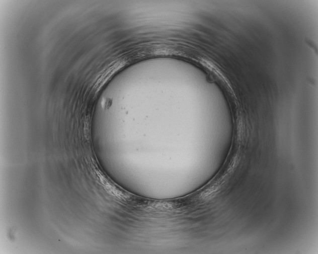 X0000100400801200806201735