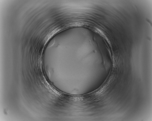 X0000100400802200806201735