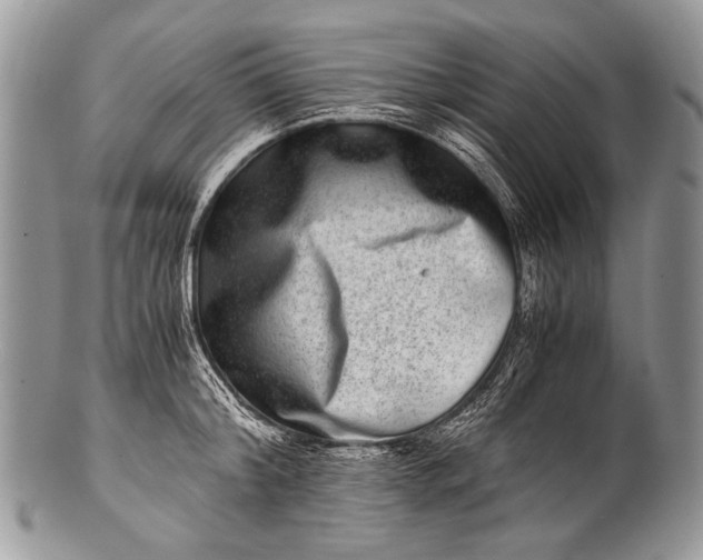 X0000100400804200806201735