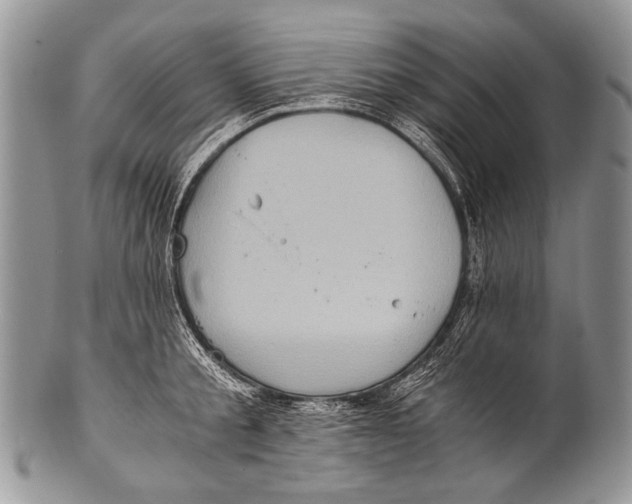 X0000100400805200806201735