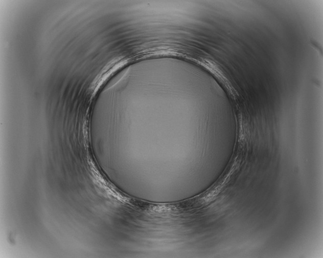 X0000100400806200806201735