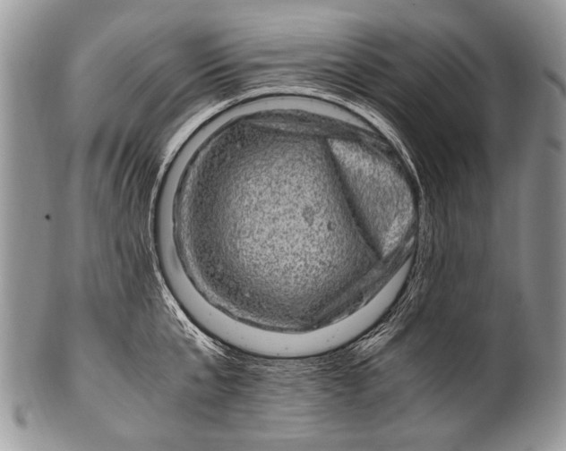 X0000100400807200806201735