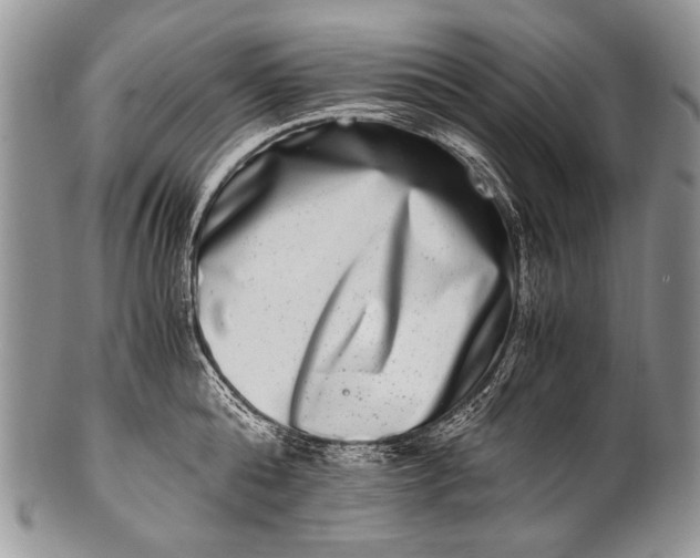 X0000100400808200806201735