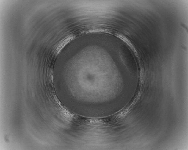 X0000100400809200806201735