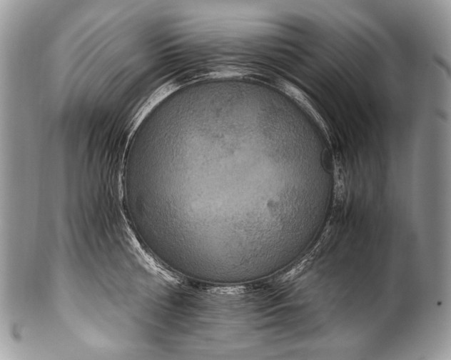 X0000100400810200806201735