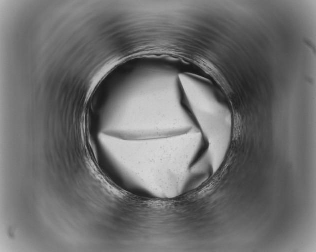 X0000100400812200806201735