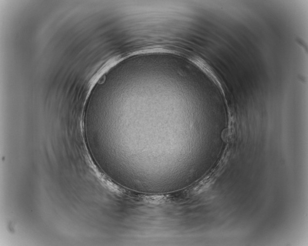 X0000100400813200806201735