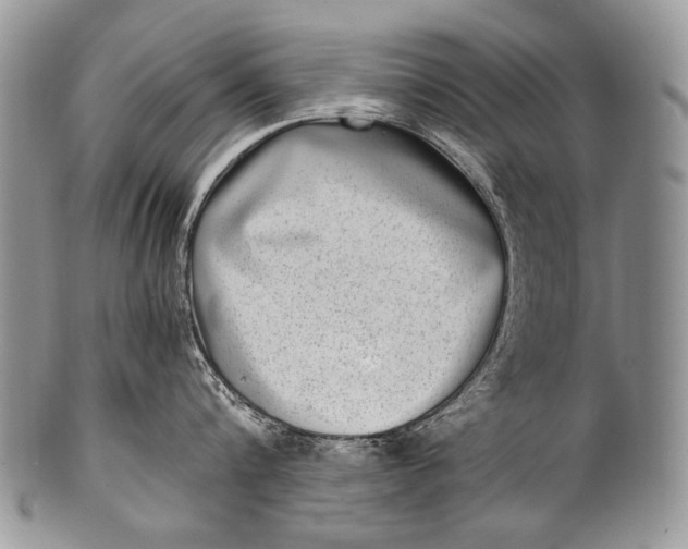X0000100400816200806201735
