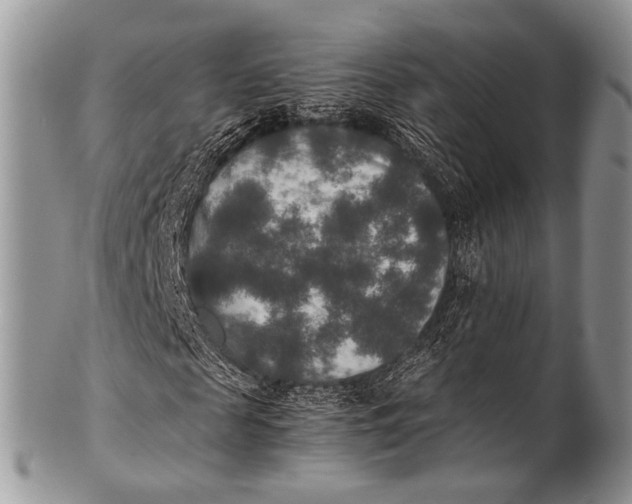 X0000100400817200806201734