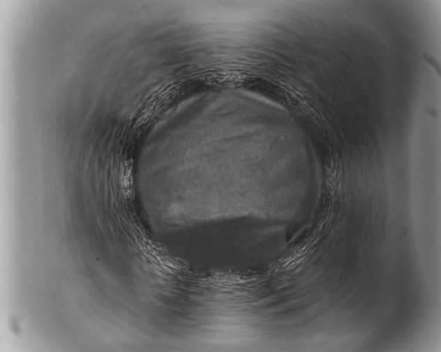 X0000100400818200806201734