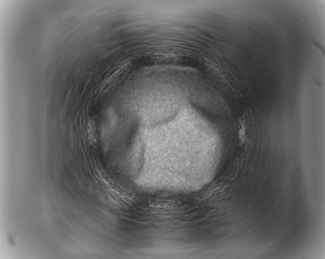 X0000100400819200806201734