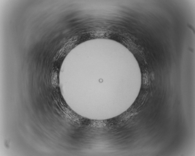 X0000100400820200806201734