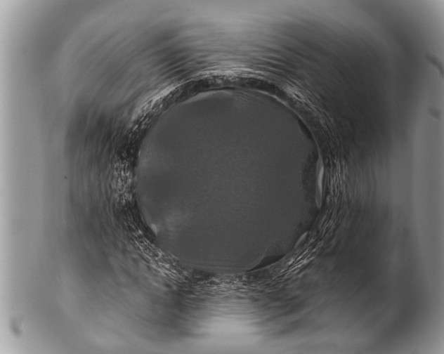 X0000100400822200806201734