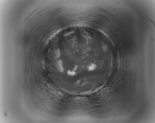 X0000100400823200806201734