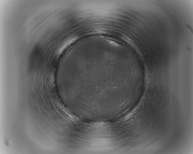 X0000100400826200806201734