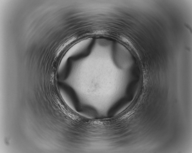 X0000100400827200806201734