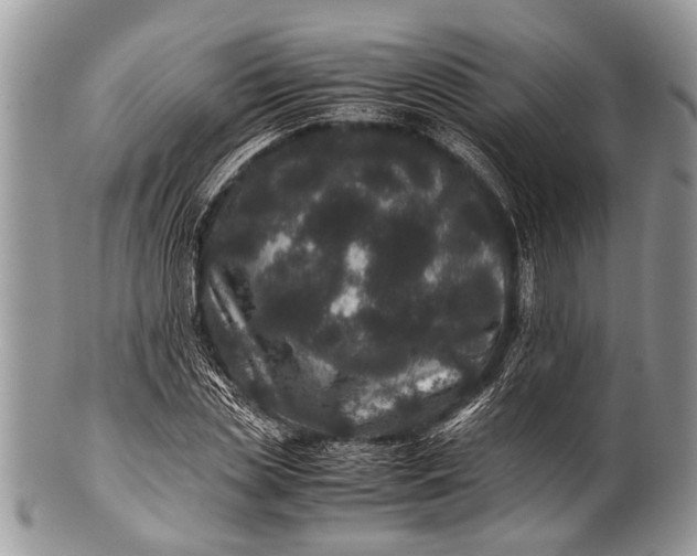 X0000100400829200806201734