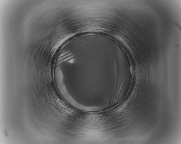 X0000100400830200806201734
