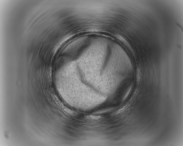 X0000100400831200806201734
