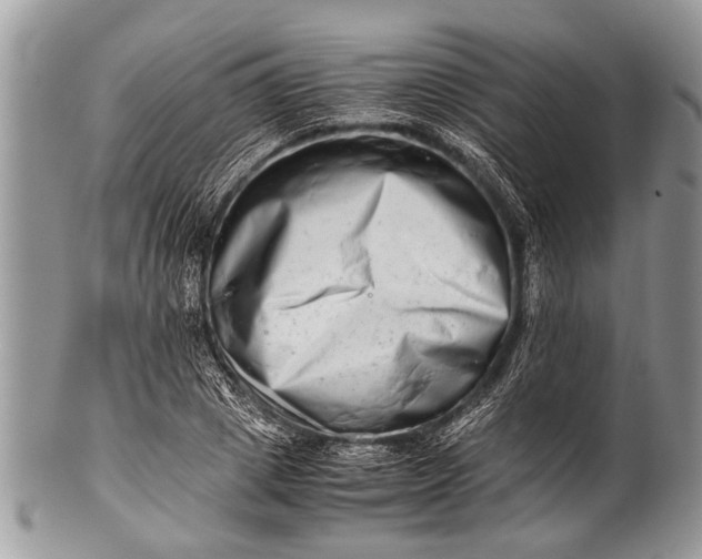 X0000100400833200806201734