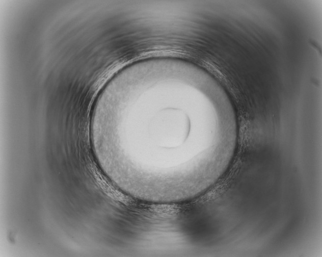 X0000100400836200806201734