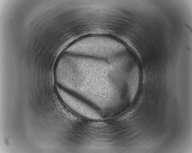 X0000100400837200806201734