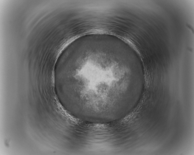 X0000100400839200806201734