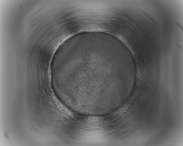 X0000100400840200806201734