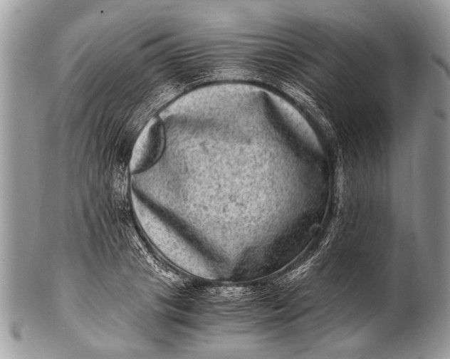X0000100400841200806201734