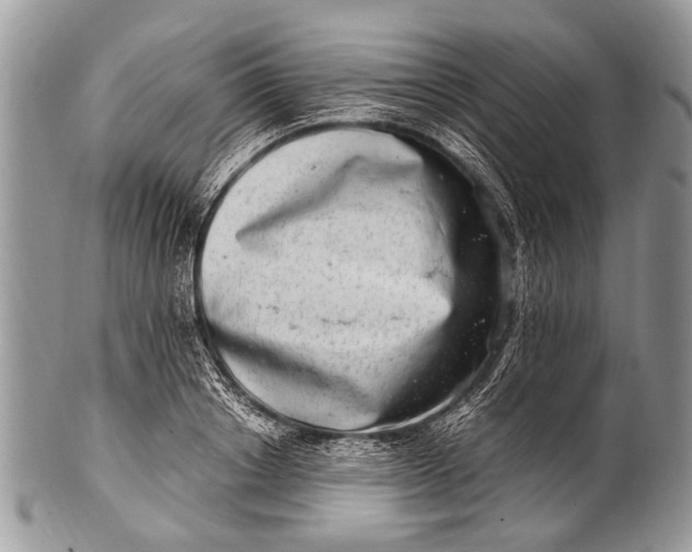 X0000100400842200806201734