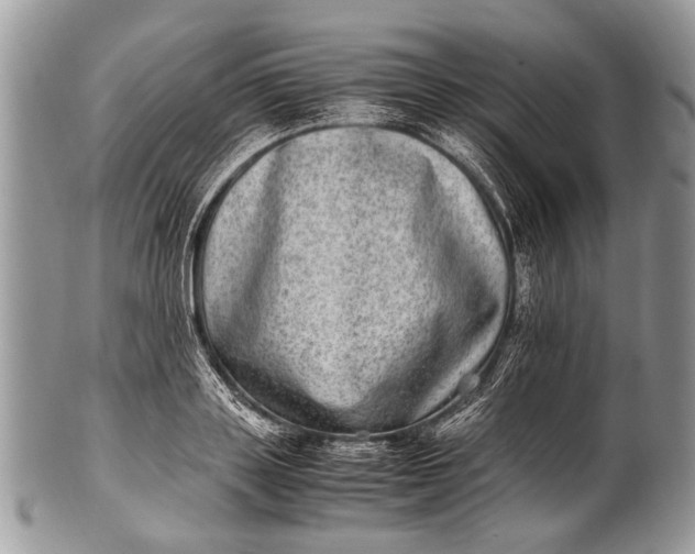 X0000100400843200806201734