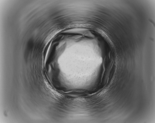 X0000100400844200806201734